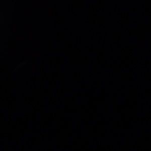 Meet your Posher, Beatriz